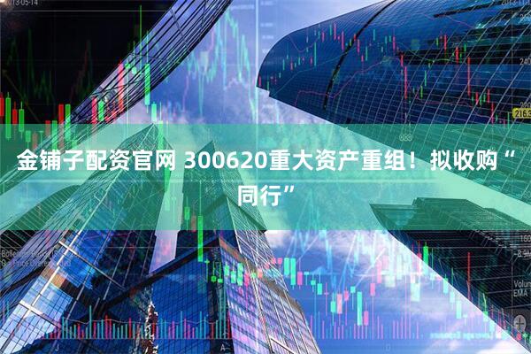 金铺子配资官网 300620重大资产重组!拟收购“同行”