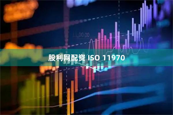 股利网配资 ISO 11970